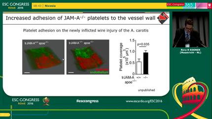 Presentation thumbnail