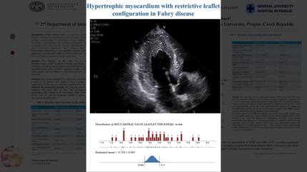 Presentation thumbnail