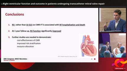 Right ventricular function and outcome in patients undergoing transcatheter mitral valve repair