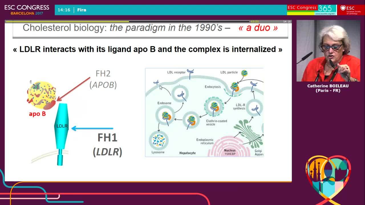 Presentation thumbnail