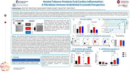 Inflammatory crosstalk between cardiac fibroblasts, endothelial and immune cells in response to chronic heated tobacco product exposure