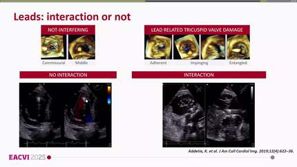 Presentation thumbnail