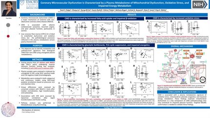 Presentation thumbnail