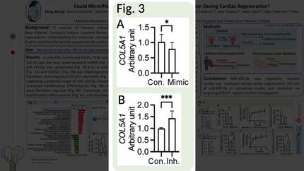 Presentation thumbnail