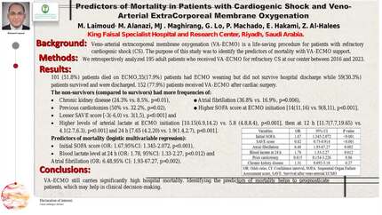 Presentation thumbnail
