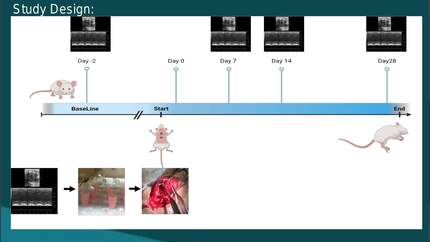 Presentation thumbnail