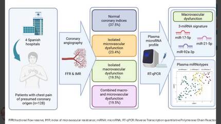 Presentation thumbnail