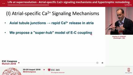 Life at superresolution - Atrial-specific Ca2+ signaling mechanisms and hypertrophic remodeling.