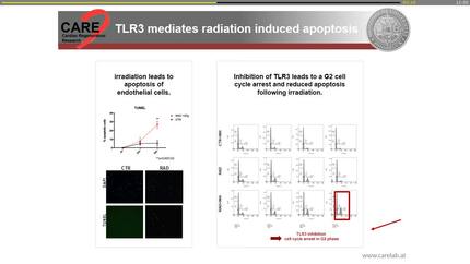 Toll-Like receptor 3 mediates radiation induced heart failure
