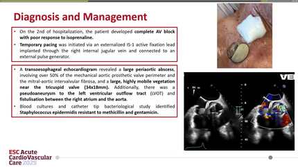 Presentation thumbnail