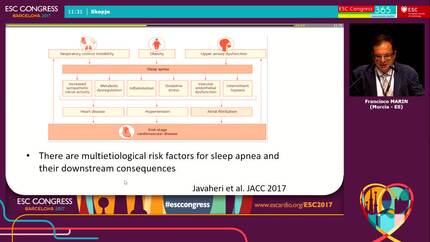 The influence of obesity and sleep apnea on atrial fibrillation