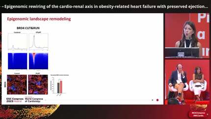 Presentation thumbnail