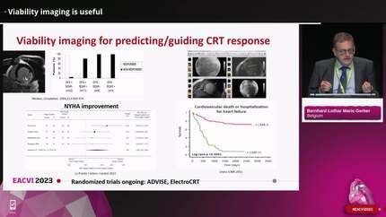 Evaluation of myocardial viability: fruitful or futile?