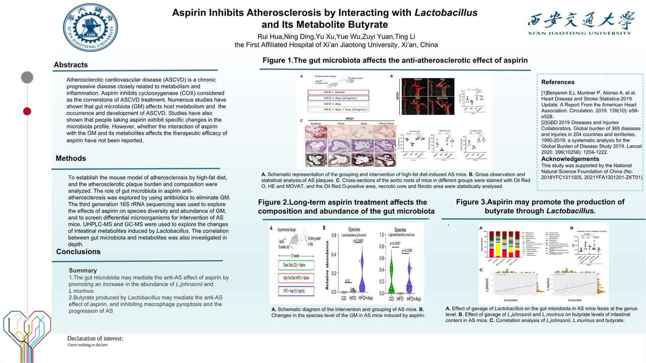 Presentation thumbnail