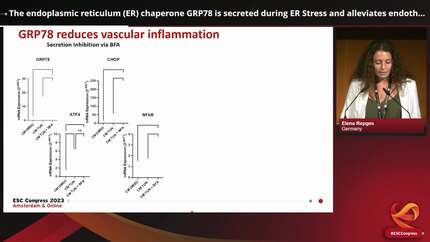 The endoplasmic reticulum (ER) chaperone GRP78 is secreted during ER Stress and alleviates endothelial cell inflammation