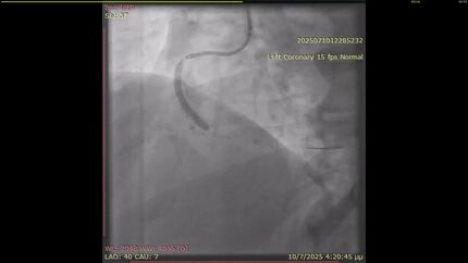 Presentation thumbnail