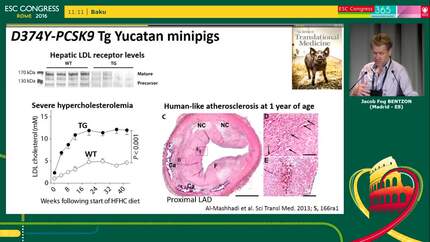 Presentation thumbnail