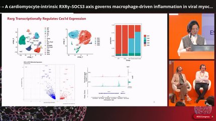 Presentation thumbnail