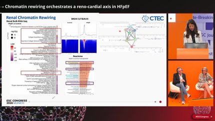 Chromatin rewiring orchestrates a reno-cardial axis in HFpEF