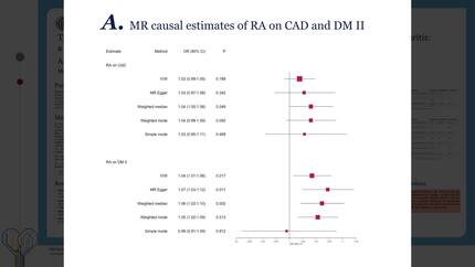 Type 2 diabetes mediating the increased cardiovascular risk in patients with rheumatoid arthritis: a bidirectional mendelian randomisation approach