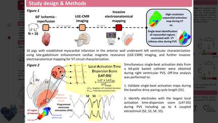 Presentation thumbnail
