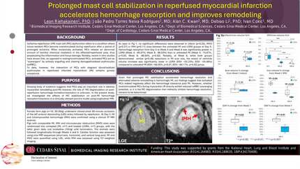 Presentation thumbnail