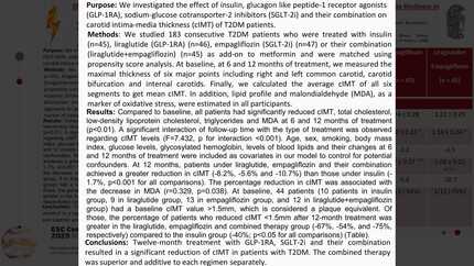 Effect of a 12-month treatment with liraglutide, empagliflozin and their combination on carotid intima-media thickness in patients with type 2 diabetes mellitus