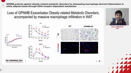 Presentation thumbnail