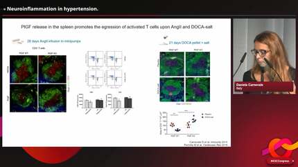 Presentation thumbnail