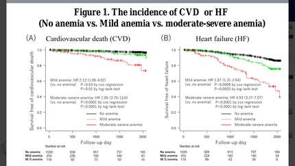 Presentation thumbnail