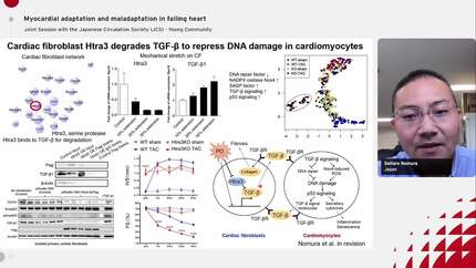 DNA damage leading to heart failure.