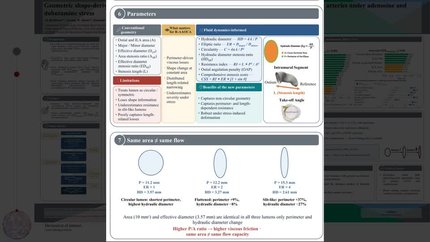 Geometric shape-derived CCTA resistance metrics predict invasive FFR in anomalous right coronary arteries under adenosine and dobutamine stress