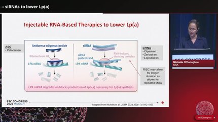 Innovative prevention strategies: long-acting siRNA therapy