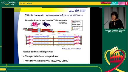 Presentation thumbnail