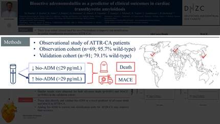 Presentation thumbnail