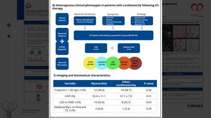 Presentation thumbnail
