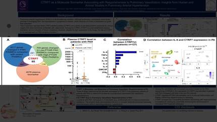 Presentation thumbnail