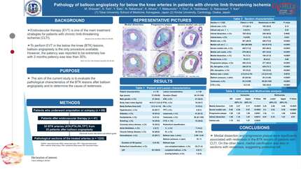 Presentation thumbnail