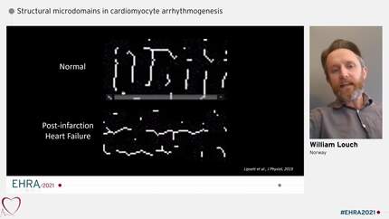 Presentation thumbnail