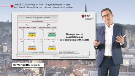 Presentation thumbnail