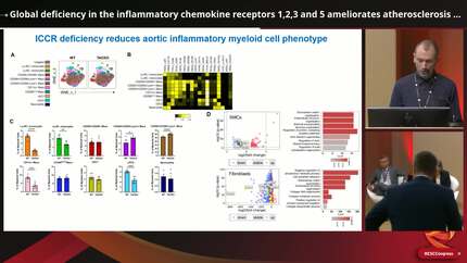 Presentation thumbnail