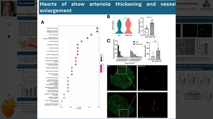 Presentation thumbnail
