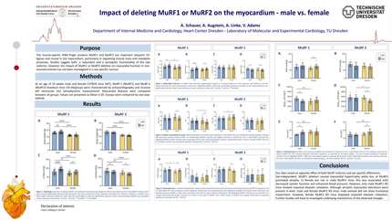 Presentation thumbnail