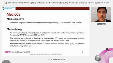 Clinical implications of the morphological features of left ventricular intracavitary thrombi after anterior ST elevation myocardial infarction