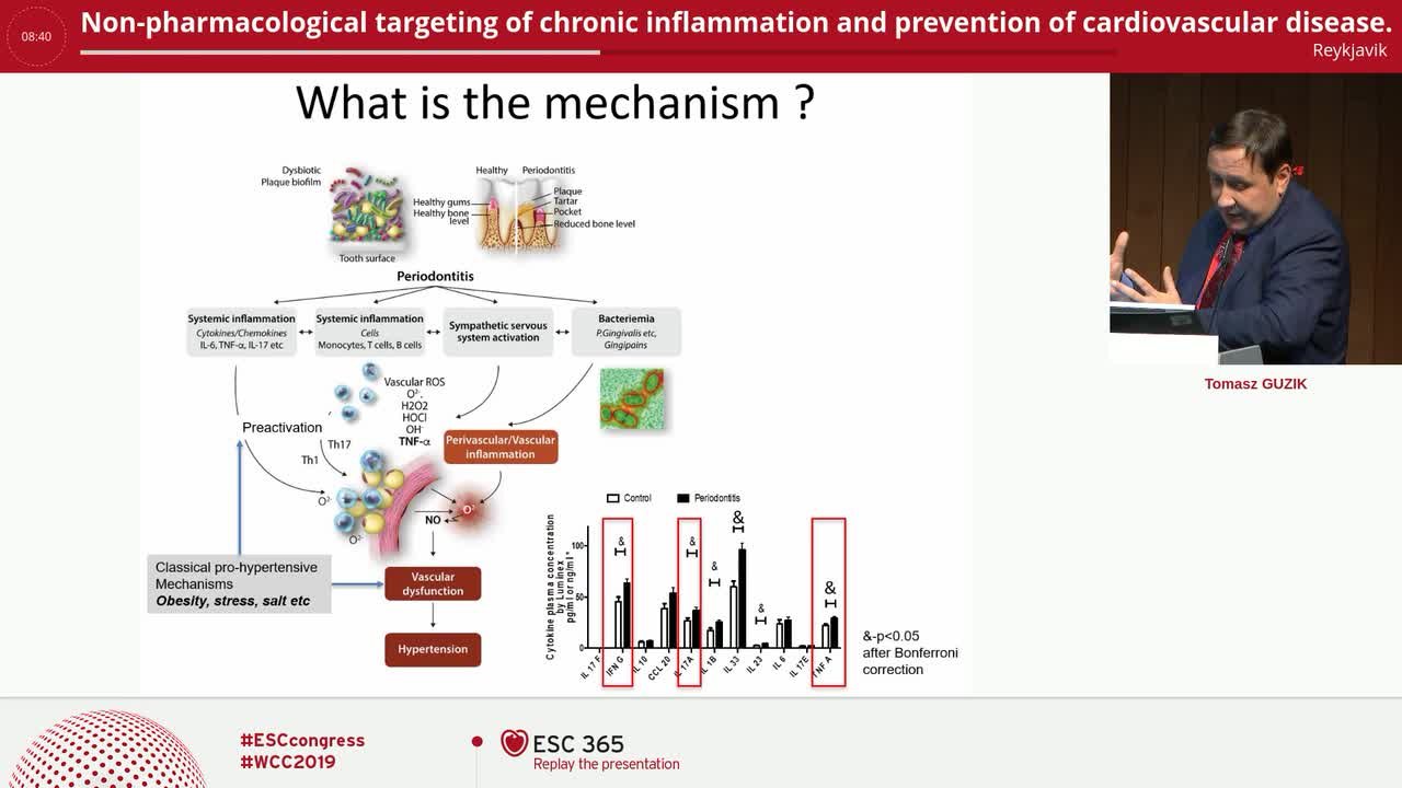 Presentation thumbnail