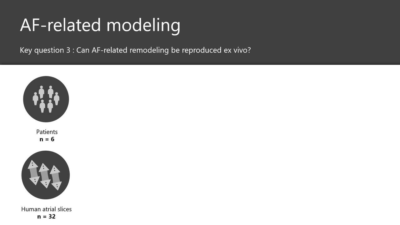 Presentation thumbnail