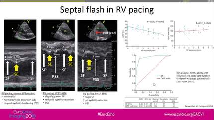 Presentation thumbnail