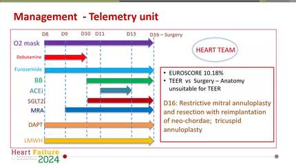 Presentation thumbnail