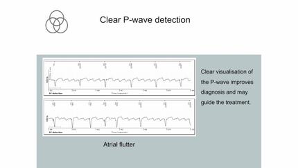 Presentation thumbnail
