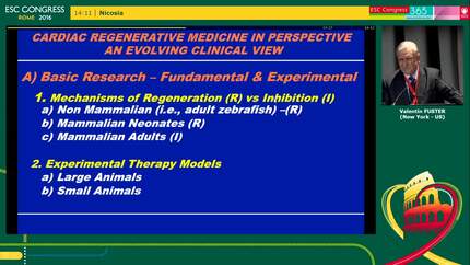 Presentation thumbnail